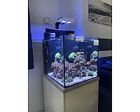 XXL Meerwasseraquarium 